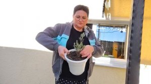 ЖИЗНЬ В СЕЛЕ:1 часть/С УТРА МНЕ ВНУК ПРЕДЪЯВЛЯЕТ/ПРОЛИЛА ЦИРКОНОМ МЕЛОЧЬ