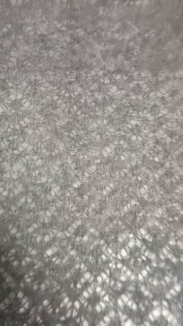 Большая серая пуховая шаль с красивым рисунком.