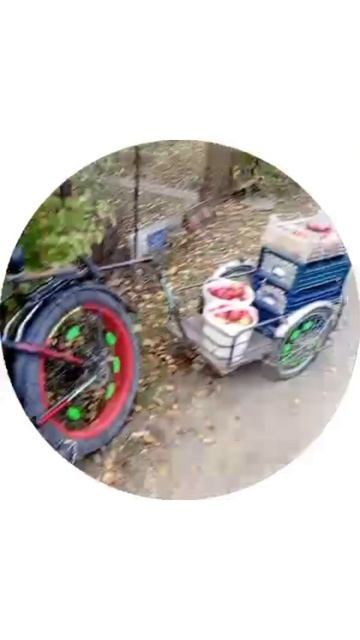 ДАЧНЫЙ УРОЖАЙ...