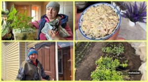 Ответ про ПЕЛАРГОНИИ. Простой САЛАТ. Аж поплохело 🤣