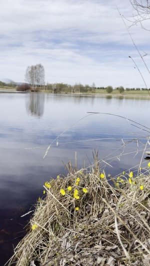 Речная гладь