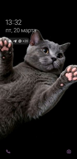 кто ты по вещи