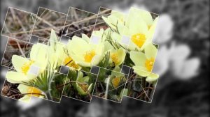 Весна идет -весне дорогу