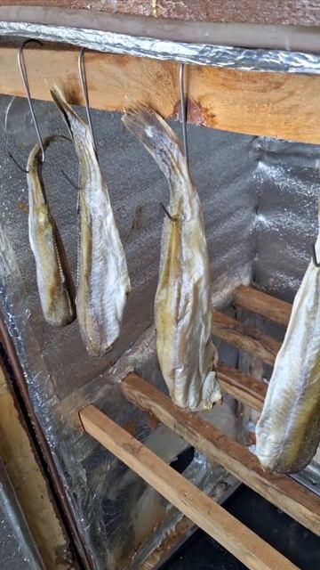 28 Вяленая морская рыба Новага