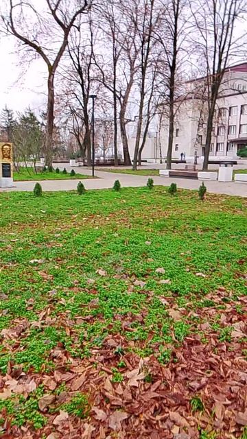 Осенний  парк .