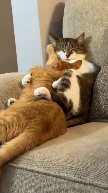 Video_2026-03-09_13-29-14