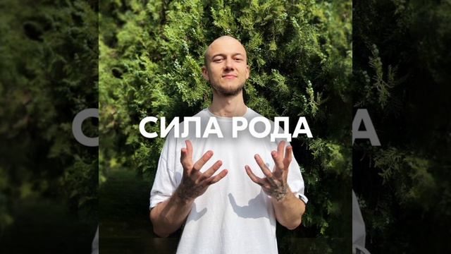 СИЛА РОДА