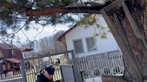 Трос бегунок для немецкой овчарки