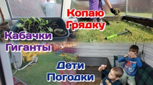 Что решила на счёт протезирование?!/Копаю грядку/Кабачки Гиганты Часть 3