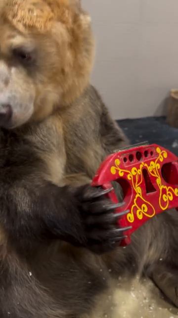 Video_2026-03-09_13-30-37