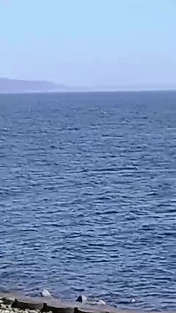 Волга сегодня! И только барханчики напоминают о льдах...