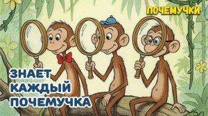 Знает каждый почемучка | Почемучки | Детские песни
