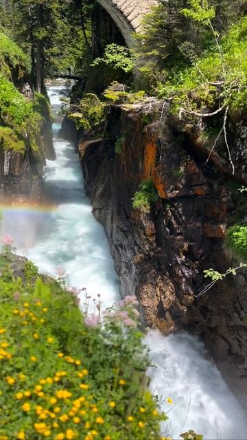 Национальный парк Пиренеи — национальный парк Франции