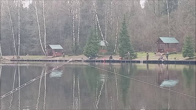 Хорошая активность форели на Нижнем водоёме. Обзор. Клёвое место лосиный остров