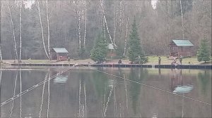 Хорошая активность форели на Нижнем водоёме. Обзор. Клёвое место лосиный остров