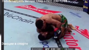 Алджемейн Стерлинг-Юссеф Залал, полное видео главного боя на UFC Vegas 116