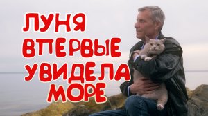 ПРИЕХАЛ СО СВОЕЙ КОШКОЙ,ЛУНЕЙ,НА МОРЕ КОТОРОЕ ОНА УВИДЕЛА ВПЕРВЫЕ.😊