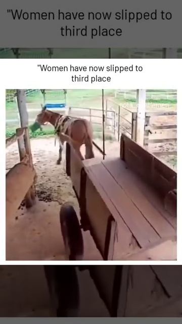 О-оу.. Кажется, женщин сместили на третью ступень пьедестала, в кое-каких умениях!