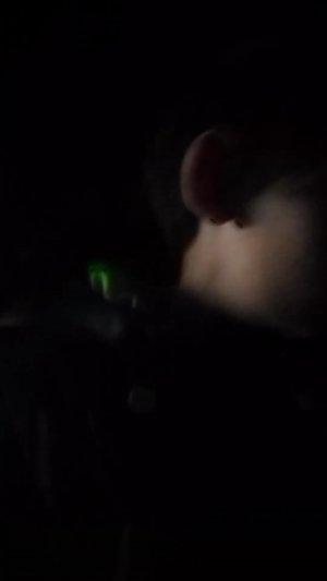 Стрим по приколу