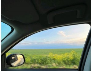 прикольно видое