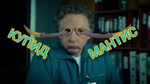 КУПИДМАНТИС!