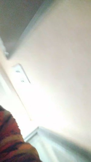 Мы идём гулять с собакой! | 26-апр-2026 2