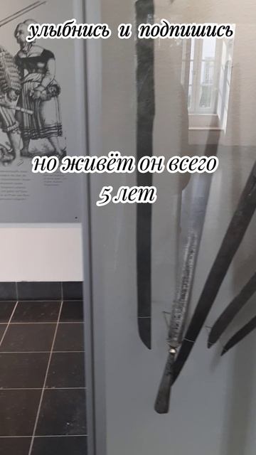 диета #анекдот #от #алисы