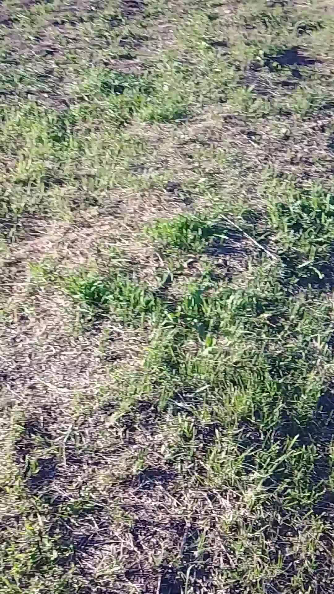 Никита против Ярика футбол.