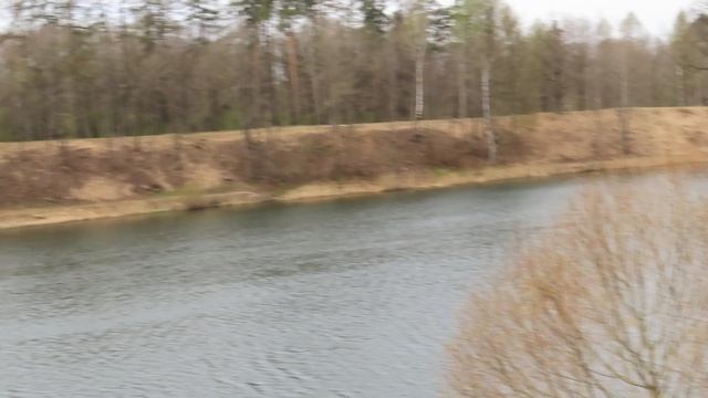 Вид с Кутепкиной горки на Чёрном озере в Приоратском парке Гатчины.