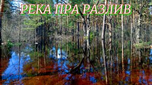 РАЗЛИВ НА РЕКЕ ПРА