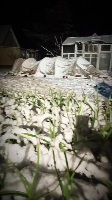 смотрю редиску😎