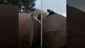 Легко отделался, легко и неудачно справился с ситуацией.