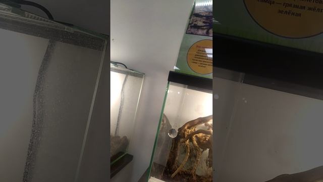 ????????????????????????