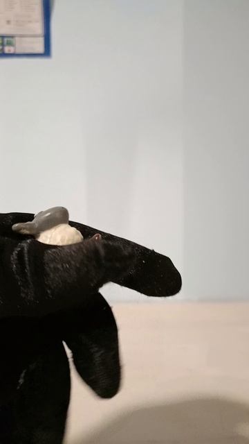 Овечка. дети, малыши, дети, мультики