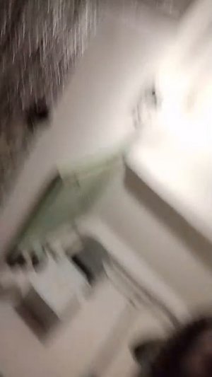 Я гуляю с собакой