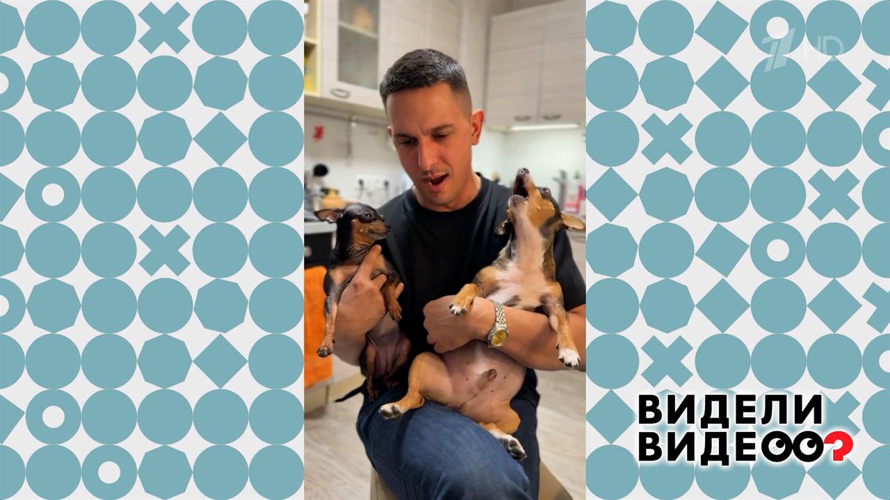 Пес Майло поет. Видели видео? Фрагмент выпуска от 26.04.2026