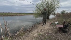 КРУПНЫЙ КАРАСЬ НА ПОПЛАВОК В КАМЫШАХ! РЫБАЛКА ДЛЯ ДУШИ! ОКУНЯ АТАКУЮТ КРЮЧКИ!