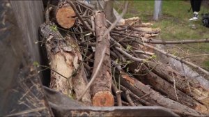 Общегородской субботник провели в логу р. Тюменки