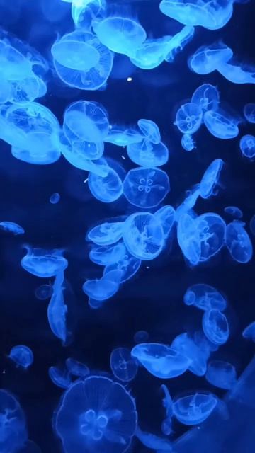 Отпусти напряжение, расслабься прямо сейчас