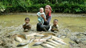 Ловлю рыбу в грязных озерах для продажи на рынке. Уход за поросятами и цыплятами. Дуонг