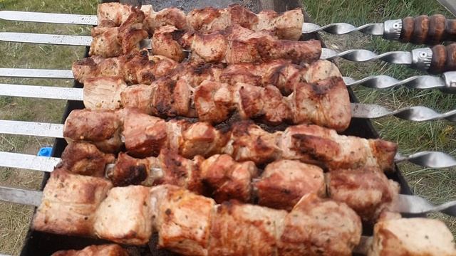 Все первомайские шашлыки!