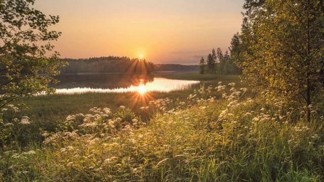 Елена Карпук - Поздняя любовь