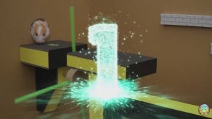 Приключение хомячка в поисках сокровищ — незабываемое приключение! часть 5