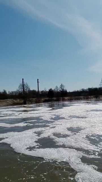 Водохранилище на реке Ошла у деревни Малый Кугунур Оршанского района.