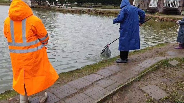 поимка на спиннинг