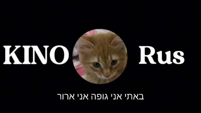 ВИДЕО ДЛИННОЙ 3 ЧАСА! WIDEO DLINNOY 3 SCASA!