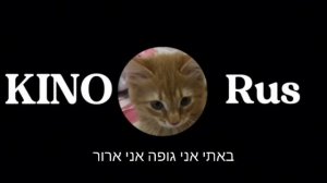 ВИДЕО ДЛИННОЙ 3 ЧАСА! WIDEO DLINNOY 3 SCASA!