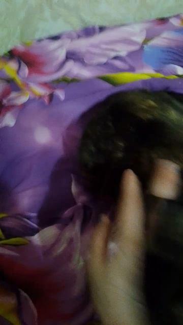 Игра перед сном