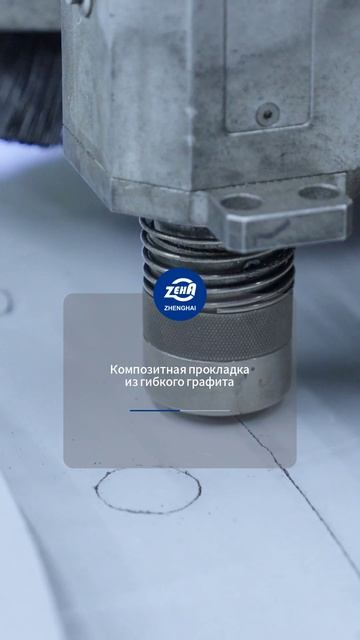 Армированная композитная прокладка из гибкого графит-ZHENGHAI SEAL-2