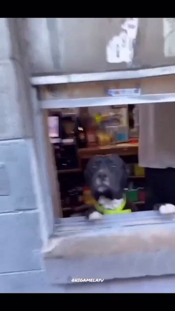 Video_2026-03-09_13-29-27